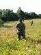Go�cinnie polowa� u nas forumowicz Hanys.