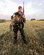 Trzeci lis w sezonie strzelony z I�-18MN kal.223Rem.i amunicj Lapua dystans oko�o 100m w G�ryach �ubia�skich.